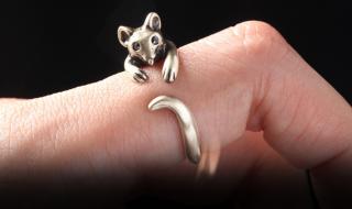 精灵鼠小弟2 精灵鼠小弟2