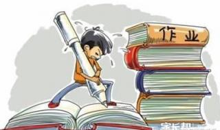 作业写不完了怎么办