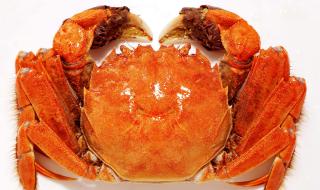 阳澄湖大闸蟹提货码怎么扫 阳澄湖大闸蟹蟹卡