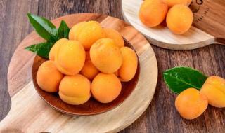 范大成的梅子金黄杏子肥,麦花雪白菜花稀.日长篱落无人过,惟有蜻蜓蛱蝶飞的意思 梅子金黄杏子肥全诗