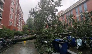 郑州大学专业评估等级 郑州大学专业排名