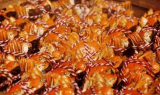 和吃有关的小游戏 小鱼吃吃吃小游戏