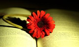 信任就像一张纸 信任就像一张纸