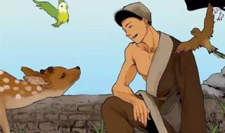 猎人海力布恐怖真相