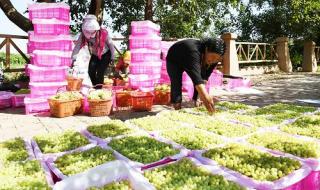 葡萄沟青蛙巷如何去 新疆吐鲁番葡萄沟
