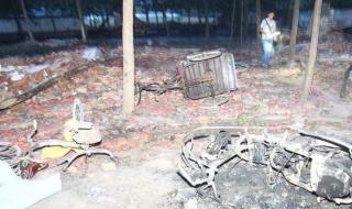 一什么花炮 一什么花炮