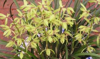 一个人一天一桶水,三个人三天几桶水 三个人三天用三桶水