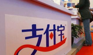 在支付宝上怎么登陆输入密码却登录不了 支付宝无法输入密码