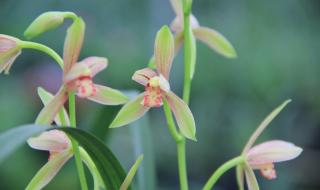 水晶之恋休闲会馆,滨河路店怎么样 水晶之恋是什么服务