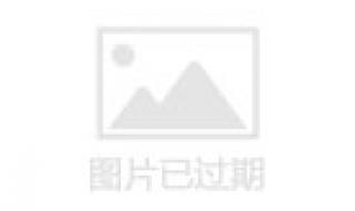 时空之轮最强组合 时空之轮第五季