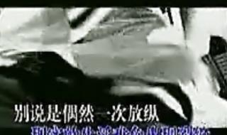 如果不爱我就别伤害我原唱dj 你说爱我又不爱我dj