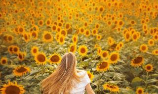 婚礼跟拍摄影价格,婚礼跟拍一般要花多少钱 摄影一般要多少钱