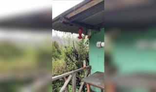 哥斯达黎加是个什么样的国家 移民哥斯达黎加好吗