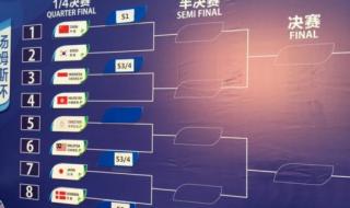 2015年羽毛球汤姆斯杯半决赛对阵 2021汤姆斯杯半决赛观后感