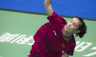 中国羽毛球锦标赛 中国羽毛球锦标赛