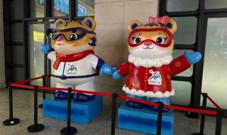 2025年哈尔滨亚冬会门票怎么买 2025年亚冬会志愿者提供住宿吗